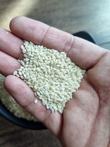 Graines de sésame décortiquées Produit agricole de qualité supérieure Vendeurs de sésame de nouvelle saison près de chez moi pour les graines de sésame - Product Image 4