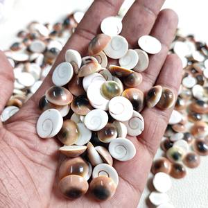 Decorative Bulk Quantity <b>Supply</b> Shiva Eye Shell Gomti Chakra Pacific Ocean Cats Eye Shells - Product Image 5