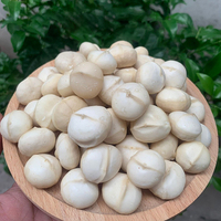 Precio competitivo estándar internacional VENTA SUPERIOR Suministro de Vietnam KERNEL DE MACADAMIA ASADO Saludable Suministro a granel