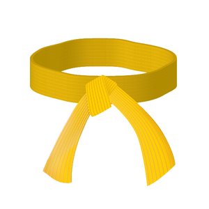 Ceintures en tissu confortables pour le karaté et le bjj, entraînement d'arts martiaux de couleur unie pour le combat, nouvel arrivage - Product Image 2