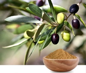 Extracto Natural de Hoja de Olivo en Polvo, Remedio Herbal para Adultos, Refuerzo del Sistema Inmunológico, Salud del Corazón y Beneficios Antioxidantes, Hecho en India - Product Image 6