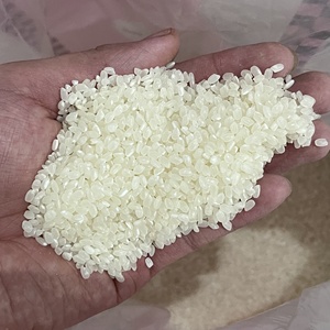 Riz Rond Égyptien Riz Japonica Rise White Arroz Sushi Reis Du Vietnam Prix Usine-MR JUSTIN - Product Image 6