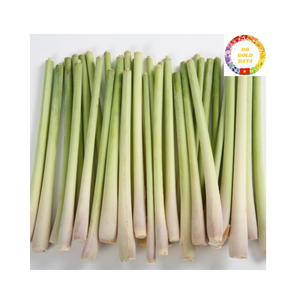 Tiges et feuilles de citronnelle congelées fraîches de haute qualité coupées ou tranchées IQF pour la cuisson et le thé Origine du Vietnam - Product Image 1