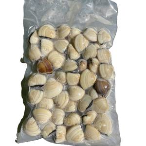 Almejas Enteras Congeladas de Primera Calidad al por Mayor a Precio Económico - Product Image 5