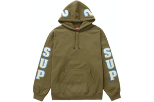 Sudaderas con Capucha Bordadas Personalizadas de Estilo Urbano, 100% Algodón, Forro Polar, Impermeables, para Hombre, Venta al Por Mayor, Ropa Casual de Invierno - Product Image 6