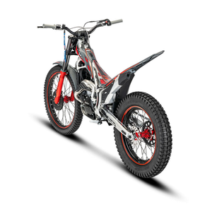 2024 เบต้า อีโว 300 - Product Image 3