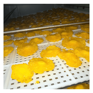Piña Deshidratada Suave, Rodajas de Piña Natural Producidas con Fruta Madura para la Elaboración de Alimentos, Vietnam - Product Image 6