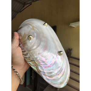 Nacre de nacre naturelle polie artisanat plaque de perle caviar plaque de nacre à vendre - Product Image 3