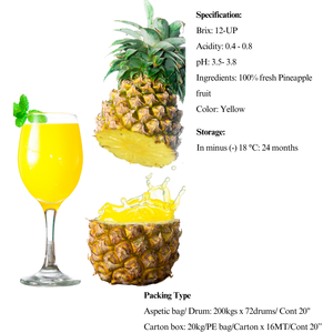 Purée d'ananas congelés IQF pour jus, boissons, industrie des desserts - Product Image 2