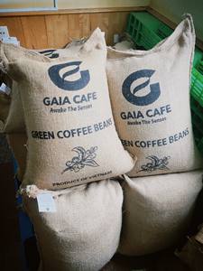 Granos Verdes de Café Arábica Catimor, Totalmente Lavados, Calidad Premium, con MOQ Bajo, de las Tierras Altas Centrales de Vietnam, Nueva Cosecha 2024-2025 - Product Image 5
