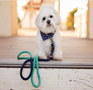 Wholesale <b>Pet</b> Supplies Accessory Customized Colored Cotton Rope Handmade Dog <b>Leash</b> <b>Pet</b> <b>Leash</b> Set - Product Image 3