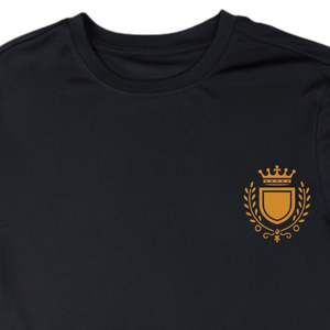 T-shirt APA Alpha Dry Fit noir 100% polyester évacuation de l'humidité t-shirt grec vie fraternité vêtements avec logo imprimé - Product Image 4