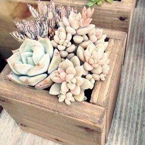 PLANTES TRADITIONNELLES ARTISANAT pot de fleurs en bois souhaitant bien jardinière arrière-cour décor de jardin jardinières en bois écorce fleur jardin - Product Image 3