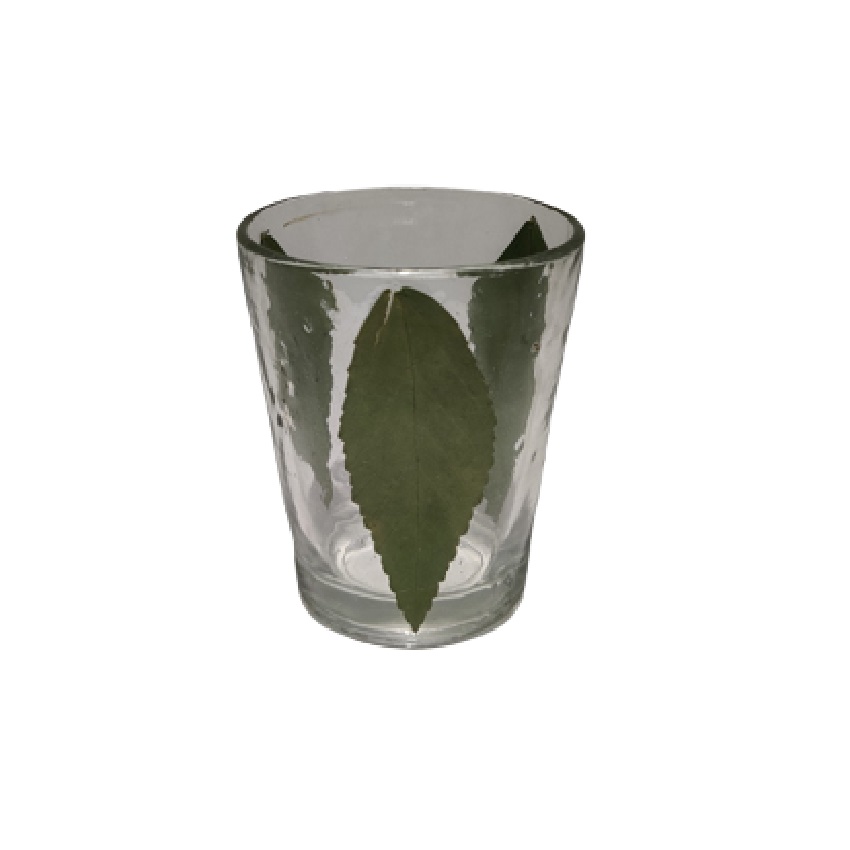 Plain Transparent Glass