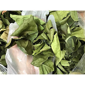 Feuilles de pomelo séchées en gros du Vietnam, arôme frais, naturel, boisson saine et usage culinaire, Mme Sophie - Product Image 2
