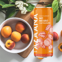 Kombucha Thee Huidverzorging Goede Prijs Fruit Gearomatiseerde Vitamine Goed Alcoholvrij Klaar Om Te Drinken Gemaakt In Vietnam Fabrikant