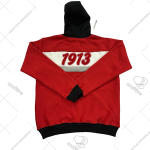Sudadera con capucha bordada Delta Sigma Theta DST Sorority - Product Image 2