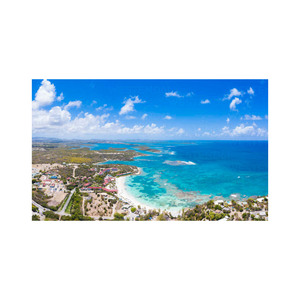 Grandes quantités de bûches de hêtre de qualité supérieure pour les besoins de construction et d'artisanat du bois - Product Image 4