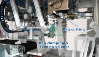 Machine d'emballage FFS 20-50 kg pour granulés plastiques – Ligne d'emballage automatique FFS pour granulés plastiques
