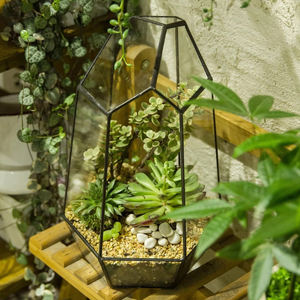 Glass Plant Box Irregular <b>Terrarium</b> Geometric Glass Best Quality Hanging Glass <b>Terrarium</b> Hot <b>Sale</b> Art Deco Design <b>for</b> Tabletop - Product Image 4