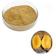 Poudre naturelle de graines de mangue de qualité alimentaire extrait de plantes de noyau d'Aam Magaj Guthli Aam Guthali emballé dans une boîte à tambour - Product Image 5