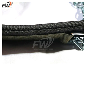 Cinturón de neopreno de alta calidad con cadena para levantamiento de pesas, entrenamiento, dominadas, soporte para cintura/spalda, antideslizante, ajustable y cómodo. - Product Image 2