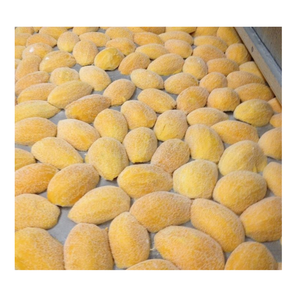 Proveedor distribuidor mayorista de mango congelado IQF de 99 DATOS DE ORO en Vietnam - Product Image 1