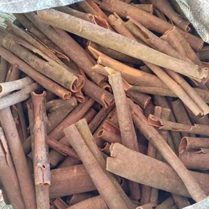 Canela barata Exportación de productos agrícolas vietnamitas de alta calidad-Canela barata de Bao Tram Anh Company - Product Image 1