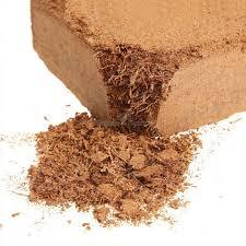 NATURAL <b>COIR</b> PITH SUBSTRATE / CHEMICAL-FREE / READY TO USE - Product Image 3