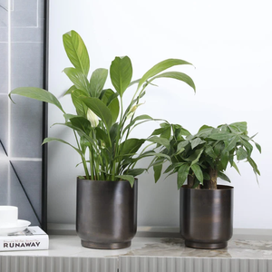 Vente en gros Design personnalisé fait à la main en métal pot de fleurs pour la maison jardin balcon prix - Product Image 3