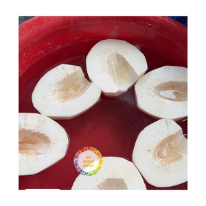 ARÔME NATUREL DE FRUITS À PAIN CONGELÉS IQF EN VRAC POUR LA PRODUCTION ALIMENTAIRE ET L'EXPORTATION DU VIETNAM - Product Image 4