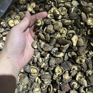 Champignon Shiitake séché de haute qualité du Vietnam avec le prix le moins cher - Product Image 1