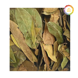 ใบ soursop graviola แห้งบริสุทธิ์-คุณภาพดีเยี่ยมในราคาต่ำ - Product Image 4