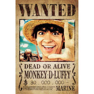 Affiche de l'anime One Piece : Wanted Monkey D. Luffy - Product Image 1
