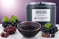 WELL ALIMENTS Concentrado de Zumo de Naranja Recién Exprimido 66 Brix Origen Sao Paulo 100% Puro Congelado Barril de 262 L