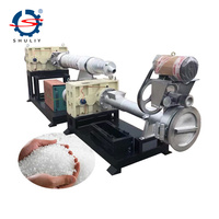 Machine d'extrusion de recyclage de plastique LDPE HDPE PP / Machine de fabrication de granulés de plastique / Machine de granulation de recyclage