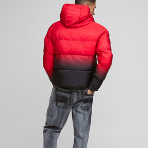 Veste matelassée bicolore à logo personnalisé pour hommes Vêtements d'hiver Jaket avec manteau rembourré à bulles Manteau à sublimation en toile et tissu OEM - Product Image 3