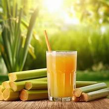 APOYO INMUNE JUGO DE CAÑA CONGELADO NATURAL BONDAD ETIQUETA LIMPIA BEBIDA A BASE DE PLANTAS - Product Image 4