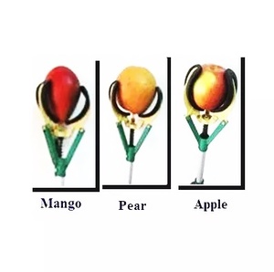 NOUVEAU DESIGN DIY OEM RÉCOLTEUR DE FRUITS À LONG BRAS TÉLÉSCOPIQUE - 200 cm TAIWAN - Product Image 2