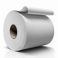 Rouleaux de papier journal et carton écologiques personnalisés 45 g/m² Impression offset 48,8 g 125/250/500 feuilles/rame Déchets de papier multi-usages