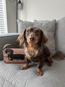 Seed Bead Tote Mochilas Beadwork Bolsos de hombro Bolsos de noche con cuentas Seed Bead Crossbody Mochilas - Product Image 2