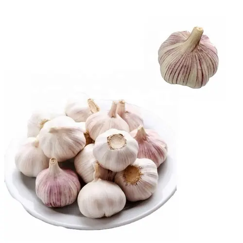 Cooking essential Vegetable Fresh Chinese Garlic
