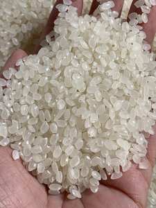 ข้าวซูชิญี่ปุ่น คาลโรส คุณภาพพรีเมียม ข้าวเมล็ดกลม สำหรับอาหารญี่ปุ่น 25 กก. 50 กก. - Product Image 4