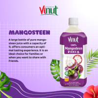 250ml/330ml 100% Pure Mangosteen Sap Versgeperst ISO BRC KOSHER HALAL FSSC Gecertificeerd OEM ODM Private Label Groothandel