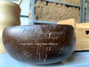 Tazón de cáscara de coco empaquetado personalizado ecológico Características lacadas hechas a mano Logotipo grabado con láser Todo natural Asequible - Product Image 2