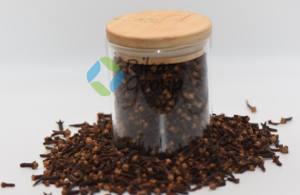 Producto de agricultura cruda de clavo fresco orgánico de la más alta calidad para amantes del té y personas conscientes de la salud - Product Image 6