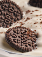 Biscuits sandwichs au chocolat multi-saveurs Oreo Mini Cup en gros 55g