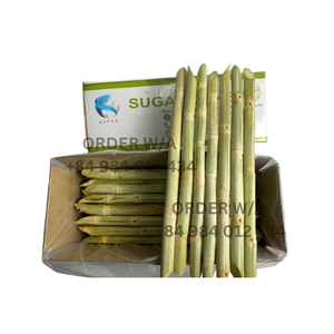 CAÑA DE AZÚCAR FRESCA CONGELADA DE ALTA CALIDAD CAÑA DE AZÚCAR DULCE NATURAL CRUDO AL POR MAYOR PARA EXPORTACIÓN - Product Image 1
