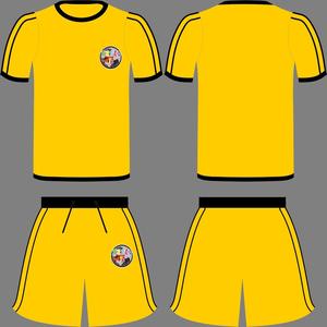 ชุดชายหาดชุดฤดูร้อนสำหรับผู้ชายชุดเดรสผ้าฝ้ายซับลิเมตและกางเกงขาสั้นใส่สบาย - Product Image 4