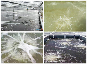 คุณภาพสูงการรักษายางหลอดเติมอากาศ 25*12 มม.นาโนฟอง Aerotube สําหรับเพาะเลี้ยงสัตว์น้ําปลาเลี้ยงบ่อเพิ่มออกซิเจน - Product Image 6